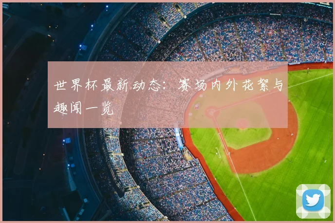 世界杯最新动态：赛场内外花絮与趣闻一览